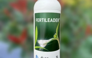 Фертилидер Витал-954