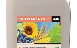 Фолиаплант