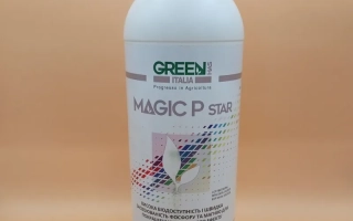 ГРИН ХАС (МАРОК КАЛФОМИТ, МЕДЖИК Р СТАР, ВИРЕР)