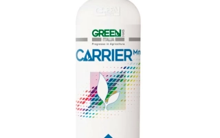 ГРИН ХАС (МАРОК ВИВЕМА, БОРОГРИН Л, КАРРИЕР МН, КАРРИЕР ЦН, МОЛИ