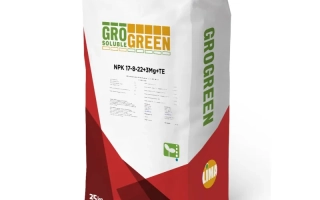 Гронгрин Гринта Курби