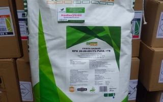 Гронгрин Гринта Сола