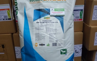 Гронгрин Гринта Сола, кр.п., минеральне удобрение