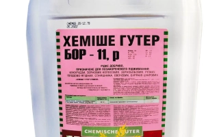 Хемише Гутер