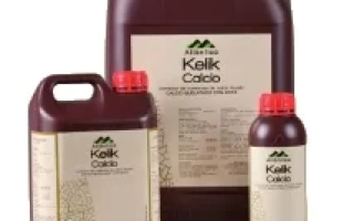 Келик Кальций