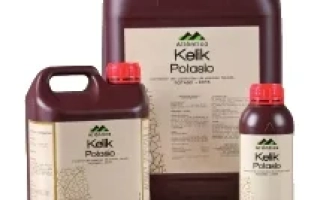 Келик Калий