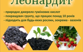 Леонардитне