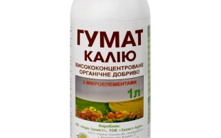 Лумидапт Кельта