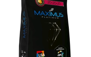 МАКСИМУС 20+20+20