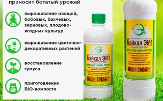 Микробиологическое удобрение (продукция серии ЭМ, Байкал ЭМ-1)