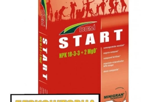 Минигран ДЦМ