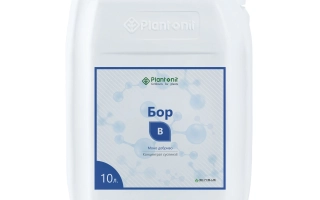 Мультибор 21