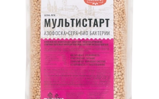 Мультистарт