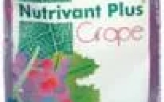 Нутривант Плюс Виноград
