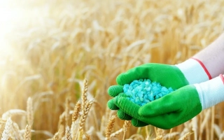 Organic-mineral fertilizer «Agrosol liquid»