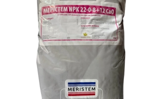 Паросток, марка 22