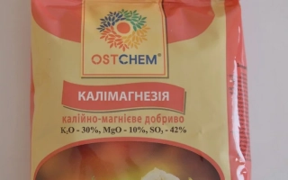 Патенткали