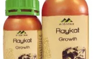 Райкат развитие