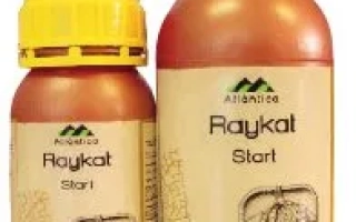 Райкат Старт