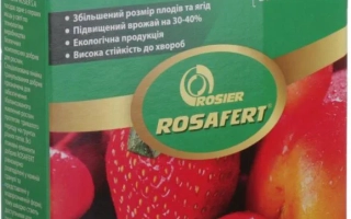 Rosafert