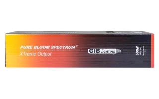 СПЕКТРУМ (SPECTRUM)