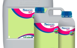 Текамин Брикс