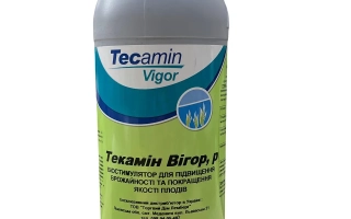 Текамин Вигор