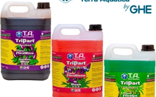 Терра Акватика