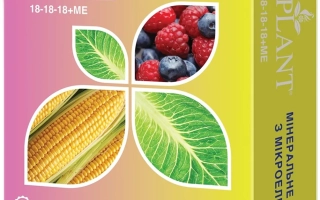 ТрансферАп