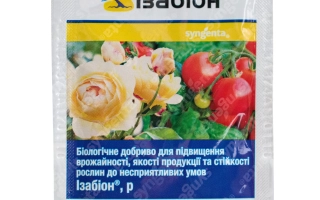 Пакет семян удобрения Ізабіон для томатов - UNI-ZINBO