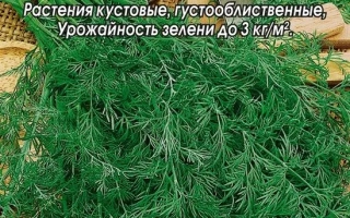Пакет семян укропа Ёлочка с изображением зелени и логотипом Аэлита - Елочка