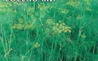 Семена укропа ЕЛОЧКИ-СОСЕНОЧКИ на фоне зелени