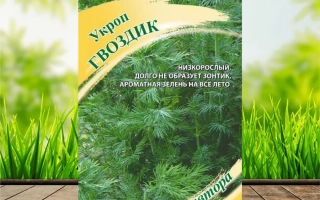 Пакет семян укропа «Гвоздик» на фоне травы