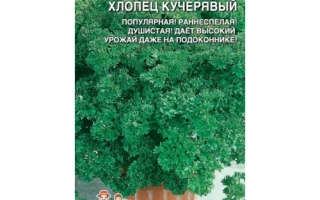 Хлопец Кучерявый