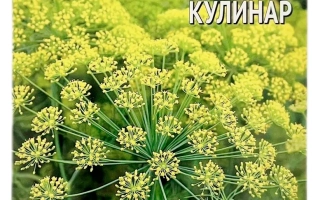 Пакет семян укропа КУЛИНАР от бренда ВНИИССОК