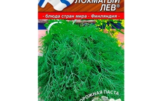 Пакет семян укропа Лохматый Лев