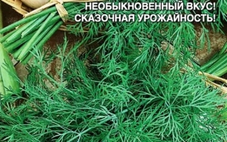 Пакет семян укропа ПОБЕДИТЕЛЬ с изображением зелени и золотой монеты