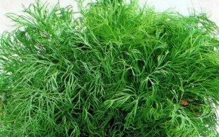 Пакет семян укроп «Русские традиции» с изображением зелени и цветов