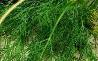 Севастопольский