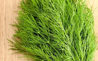 Свежая зелень укропа на деревянной поверхности - ТУРКУС