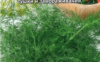 Пакет семян укропа Зелёная Аллея с изображением зелени и огурцов - ЗЕЛЕНАЯ АЛЛЕЯ