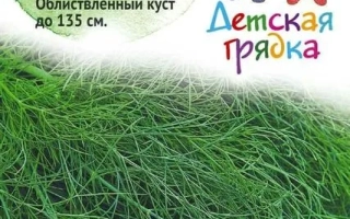 Пакет семян укропа «Зеленое кружево»