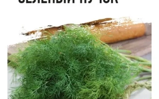 Пакет семян укроп Зелёный пучок с изображением зелени - ЗЕЛЕНЫЙ ПУЧОК