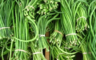 Свежий зеленый лук, связанный в пучки - Азия