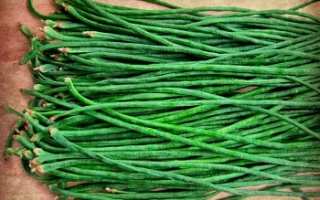 Свежие зеленые бобы Глория