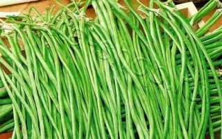 Пакет семян вигна Лилиана с изображением зелёных стручков