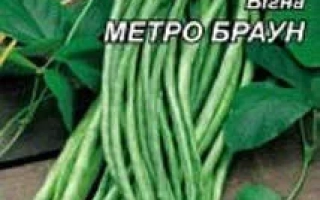 Пакет семян вигны Метро Браун - САММА НОВА