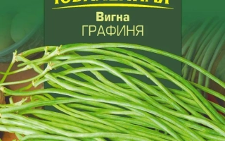 Пакет семян Юбилейная