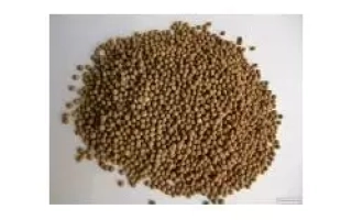 Белоцерковская 33