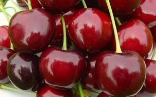 8905630 (Валерия)